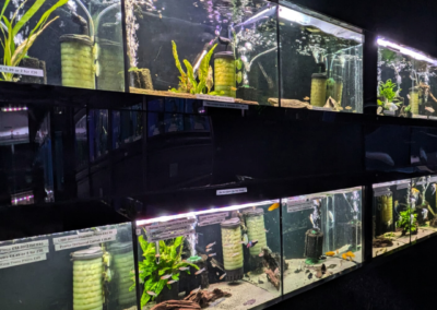 Smith's Aquatics Tanks