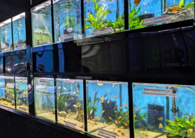 Smith's Aquatics Fish Tanks