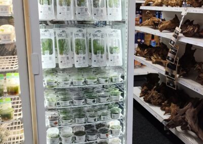 Tropica Aquatic Plants